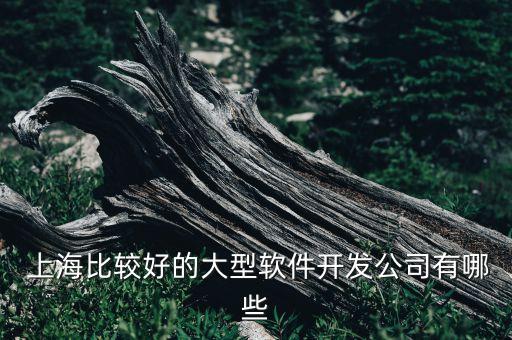  上海比较好的大型软件开发公司有哪些