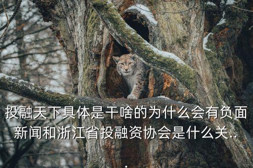 投融天下具体是干啥的为什么会有负面新闻和浙江省投融资协会是什么关...