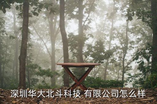 深圳华大北斗科技 有限公司怎么样