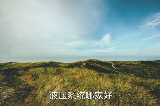  液压系统哪家好