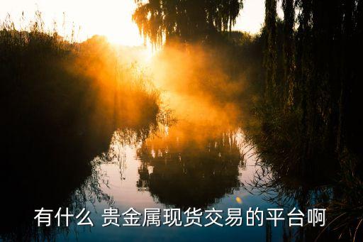 有什么 贵金属现货交易的平台啊