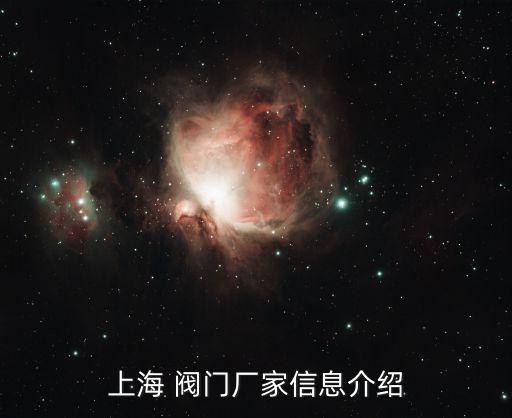 上海 阀门厂家信息介绍