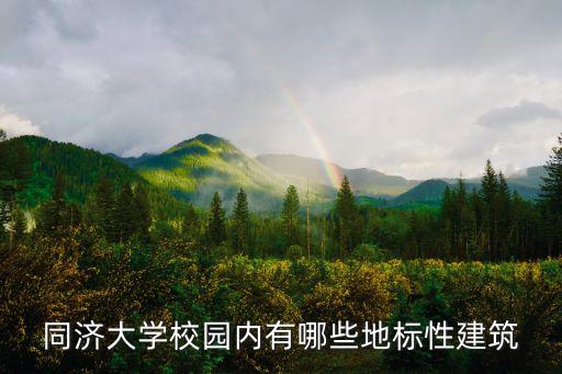 同济大学校园内有哪些地标性建筑