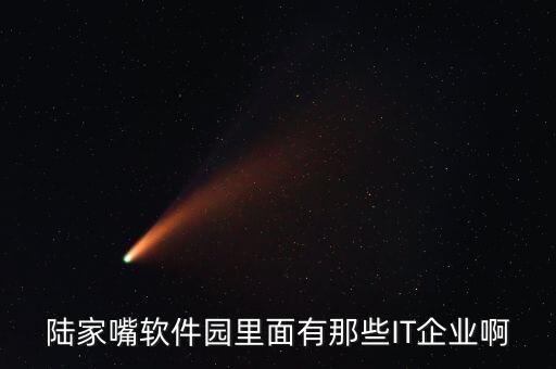 陆家嘴软件园里面有那些IT企业啊