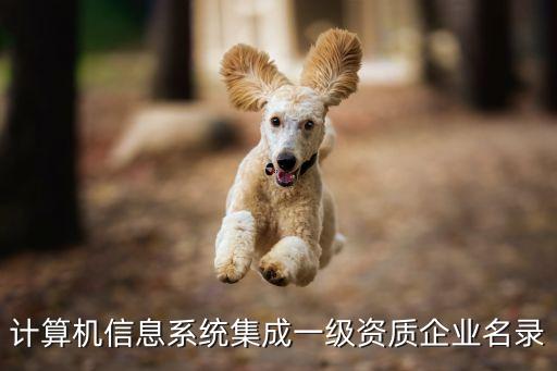 武汉天瑞实业集团有限公司