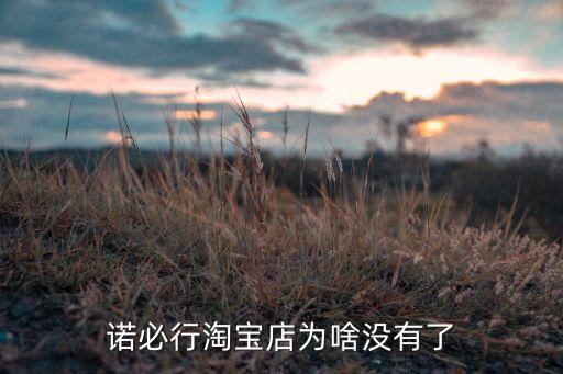 诺必行淘宝店为啥没有了