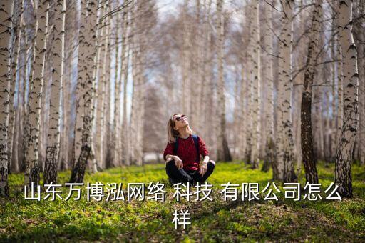 山东万博泓网络 科技 有限公司怎么样