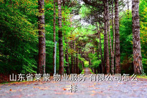 山东省莱蒙 物业服务 有限公司怎么样