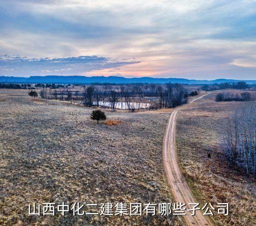 山西中化二建集团有哪些孑公司