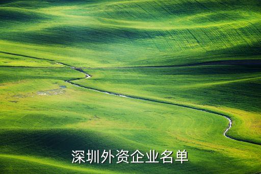 深圳外资企业名单