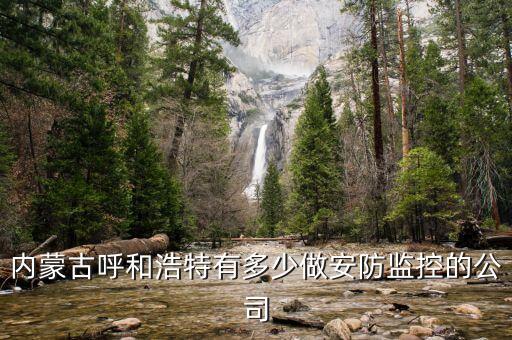 内蒙古呼和浩特有多少做安防监控的公司
