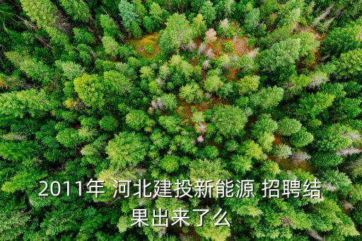2011年 河北建投新能源 招聘结果出来了么