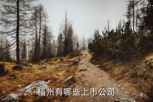 福州有哪些上市公司