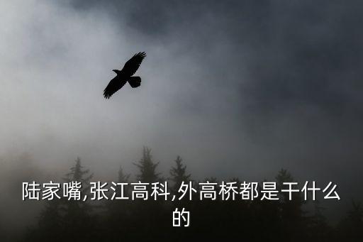 陆家嘴,张江高科,外高桥都是干什么的