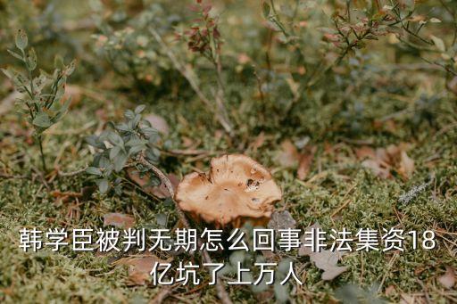 韩学臣被判无期怎么回事非法集资18亿坑了上万人