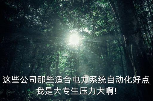 这些公司那些适合电力系统自动化好点我是大专生压力大啊!