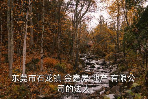 东莞市石龙镇 金鑫房 地产 有限公司的法人