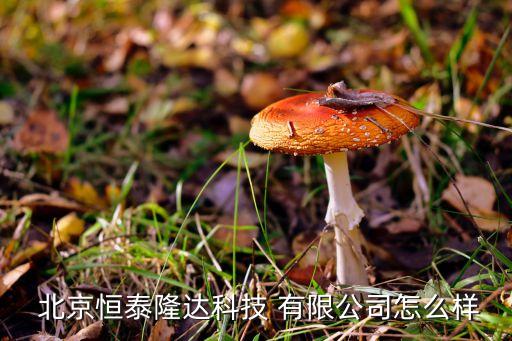  北京恒泰隆达科技 有限公司怎么样