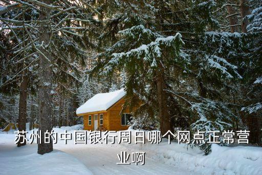  苏州的中国银行周日哪个网点正常营业啊