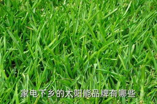 家电下乡的太阳能品牌有哪些