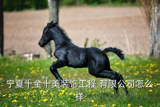 宁夏十全十美装饰工程 有限公司怎么样