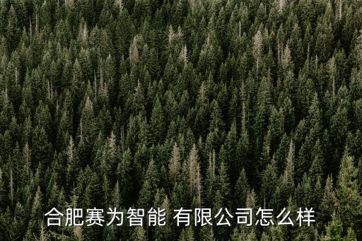 合肥赛为智能 有限公司怎么样