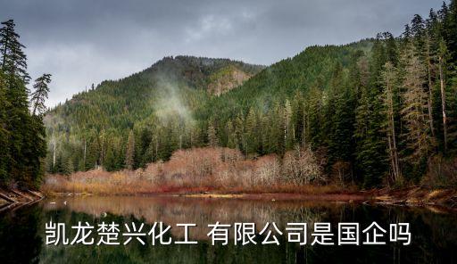 凯龙楚兴化工 有限公司是国企吗