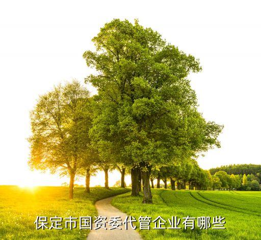 保定市国资委代管企业有哪些