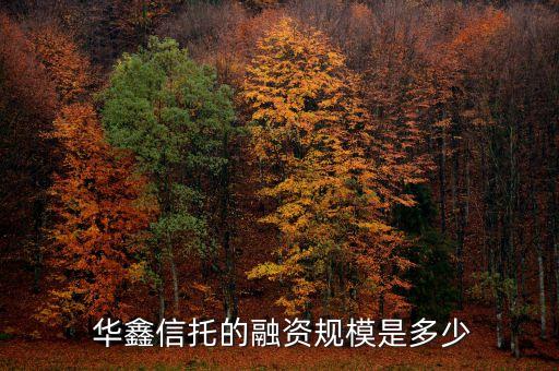  华鑫信托的融资规模是多少