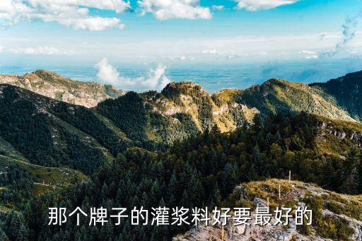 那个牌子的灌浆料好要最好的