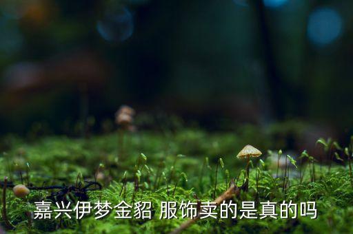 嘉兴伊梦金貂 服饰卖的是真的吗