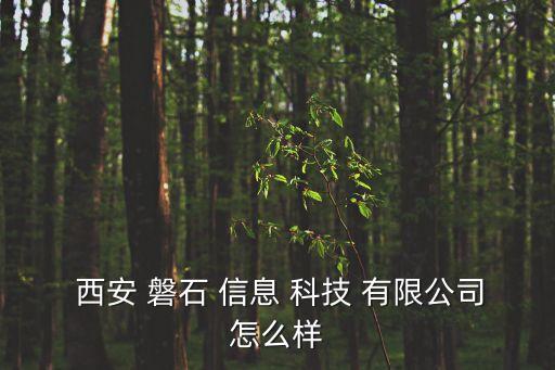 西安磐石信息科技有限公司怎么样,合肥磐石自动化科技有限公司