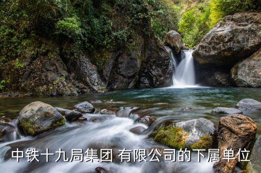 中铁十九局集团 有限公司的下属单位