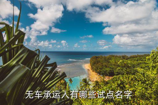 无车承运人有哪些试点名字