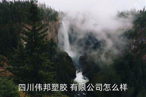 四川伟邦塑胶 有限公司怎么样
