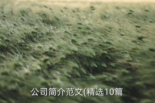 公司简介范文(精选10篇