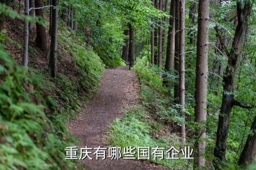  重庆有哪些国有企业