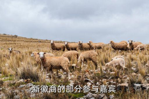 新徽商的部分参与嘉宾