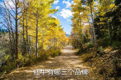  红牛有哪三个品牌