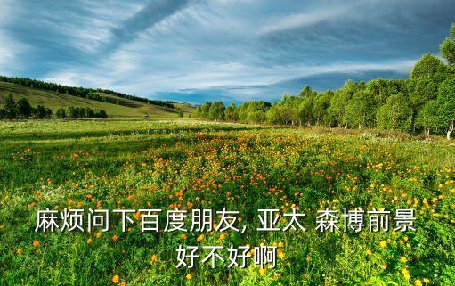亚太森博广东纸业有限公司