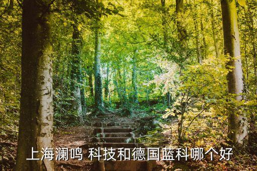  上海澜鸣 科技和德国蓝科哪个好