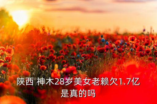陕西 神木28岁美女老赖欠1.7亿是真的吗