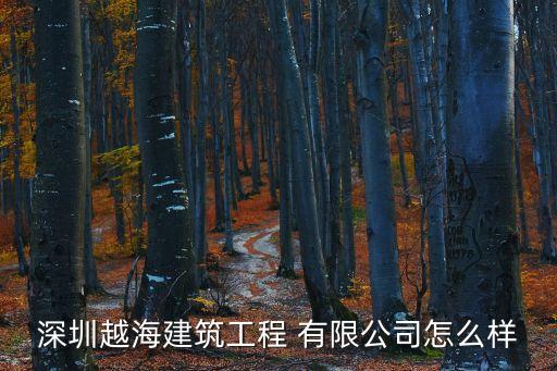 深圳市叁星飞荣机械有限公司