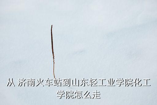 从 济南火车站到山东轻工业学院化工学院怎么走