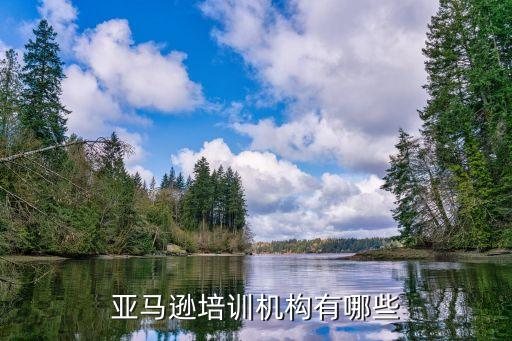 亚马逊培训机构有哪些