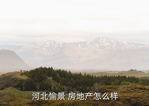  河北愉景 房地产怎么样