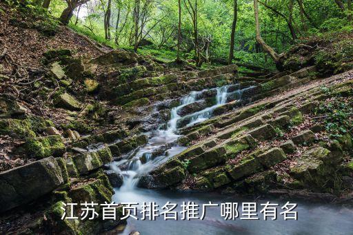  江苏首页排名推广哪里有名