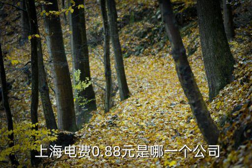  上海电费0.88元是哪一个公司