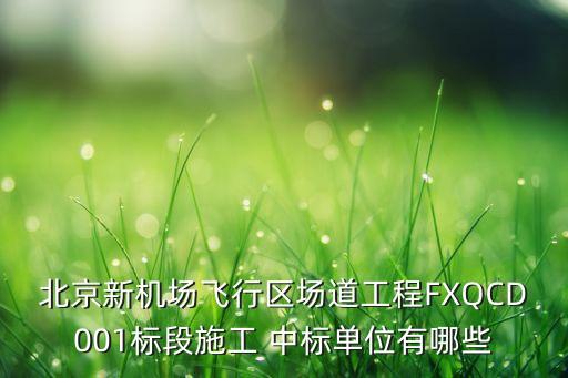 北京新机场飞行区场道工程FXQCD001标段施工 中标单位有哪些