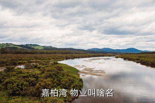 嘉柏湾 物业叫啥名